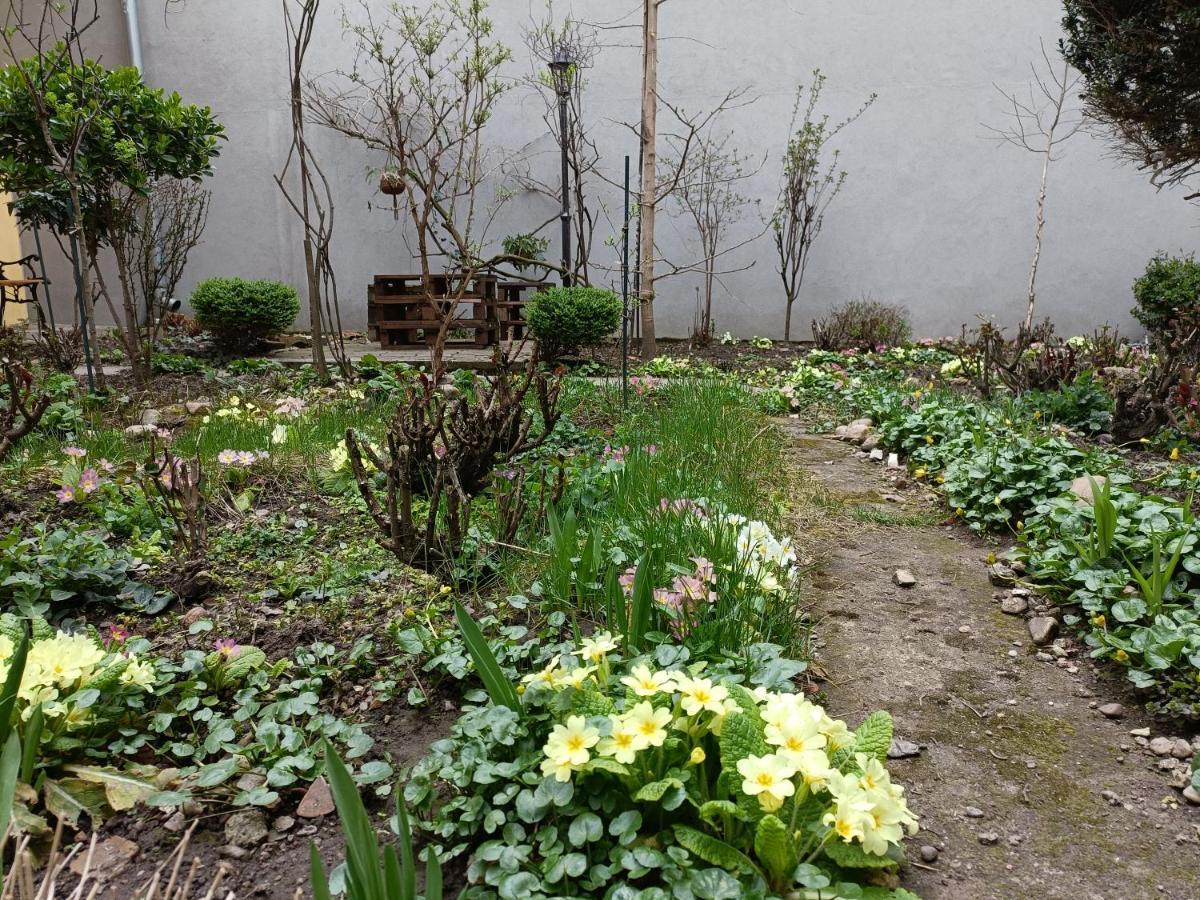 Apartamento Piata Muzeului 1 Cluj-Napoca Exterior foto